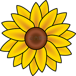 黄色的雏菊花图片 黄色的雏菊花素材 黄色的雏菊花模板免费下载 六图网