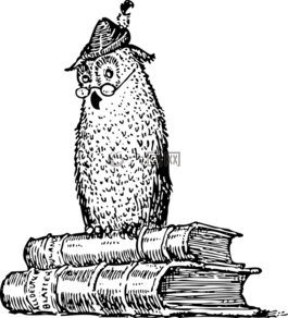 猫头鹰,书籍,知识