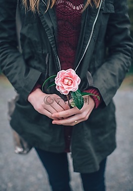 那朵花未闻花名彩绘闻花的女孩图案元素那朵花未闻花名雪纳瑞犬闻花香