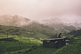 山,薄雾,牧羊人