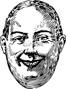 男子,脸,脂肪