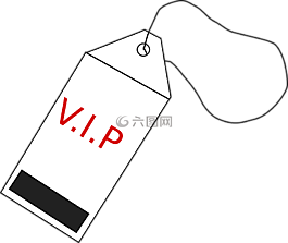 标签,vip,行李