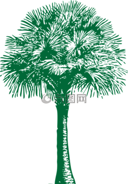 风扇,棕榈,树