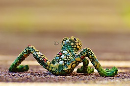 青蛙,抽象,马赛克