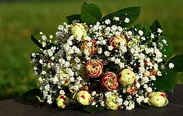 花束,礼物,鲜花
