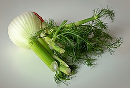 茴香花图片 茴香花素材 茴香花模板免费下载 六图网