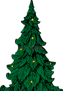 圣诞节,树,绿色