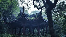 杭州,清明,风景