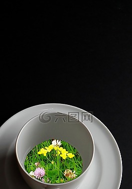咖啡杯,香草咖啡,杯