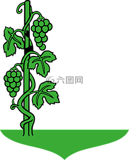 葡萄,绿色,植物
