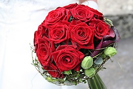 玫瑰,鲜花,斯特劳斯