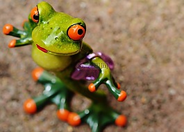 青蛙,小鸡,滑稽