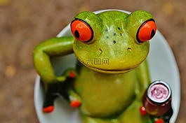 青蛙,小鸡,滑稽