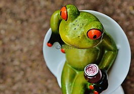 青蛙,小鸡,滑稽