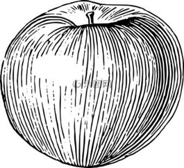 苹果,水果,海棠