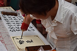障碍,作家,权力