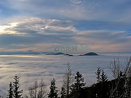 雾,景观,背景