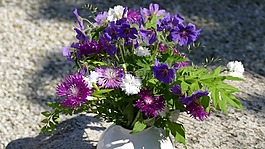 斯特劳斯,花瓶,鲜花