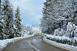 雪,冬天,霜冻