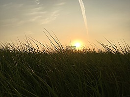 field,sunrise,grass