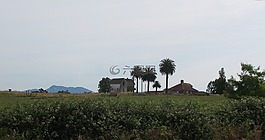 历史性一跳农场,圣赫勒拿岛,圣罗莎