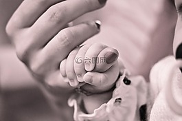 婴儿,手,控股