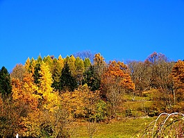 秋季,多彩的秋景,蓝色的天空