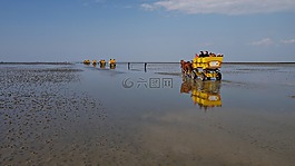 库克斯港,瓦登海,落潮