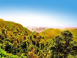 景观,山,小山