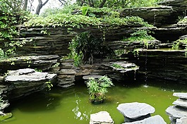 中国,深圳,公园