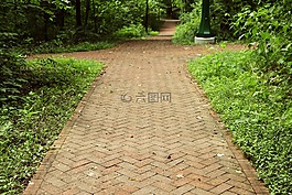 大学,校园,路径