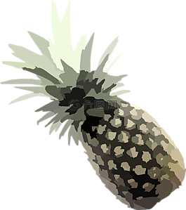 菠萝,植物,热带