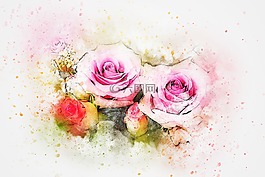 花,玫瑰,艺术