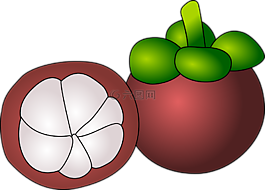 mangostein,水果,紫色
