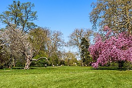 公园,景观,性质