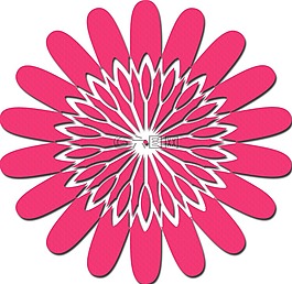 花,影子,曼陀罗