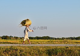 农村美,乡村生活,村