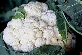 菜花,蔬菜,健康