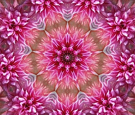 花,曼陀罗,艺术