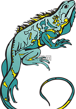 蓝色,黄色,颜色