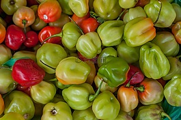 辣椒,热,绿色