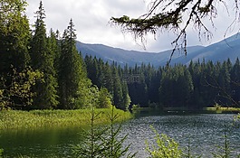 明确,湖,水