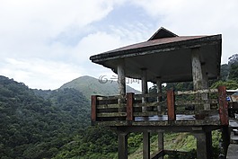 观点,森林,小山