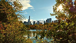 纽约,中央公园,纽约市