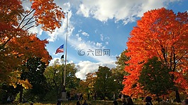秋,中央公园,美国