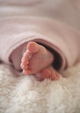 脚,婴儿,婴儿的脚