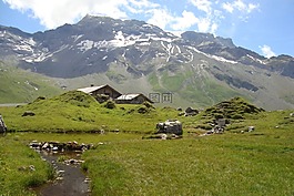 碱性磷酸酶,山,瑞士