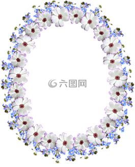 帧,边境,花的