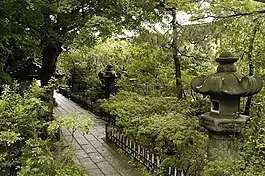 寺,自然,石灯笼