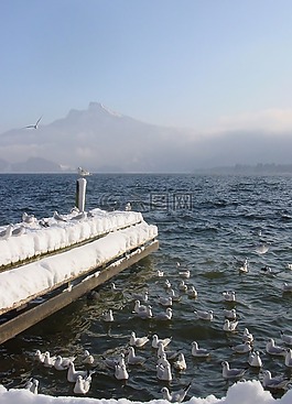 湖,月亮湖,冬天